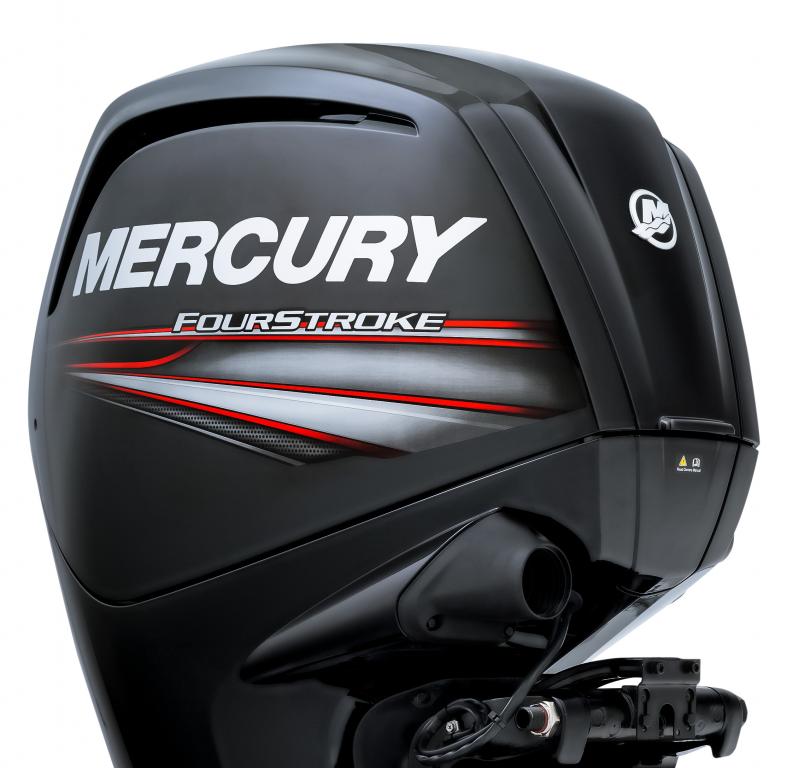 Mercury 100 ELPT EFI